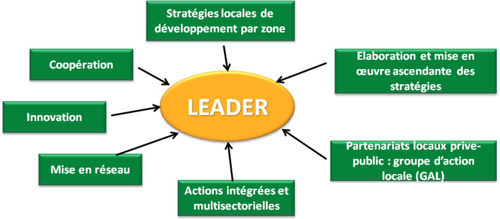 Principes fondamentaux du programme LEADER