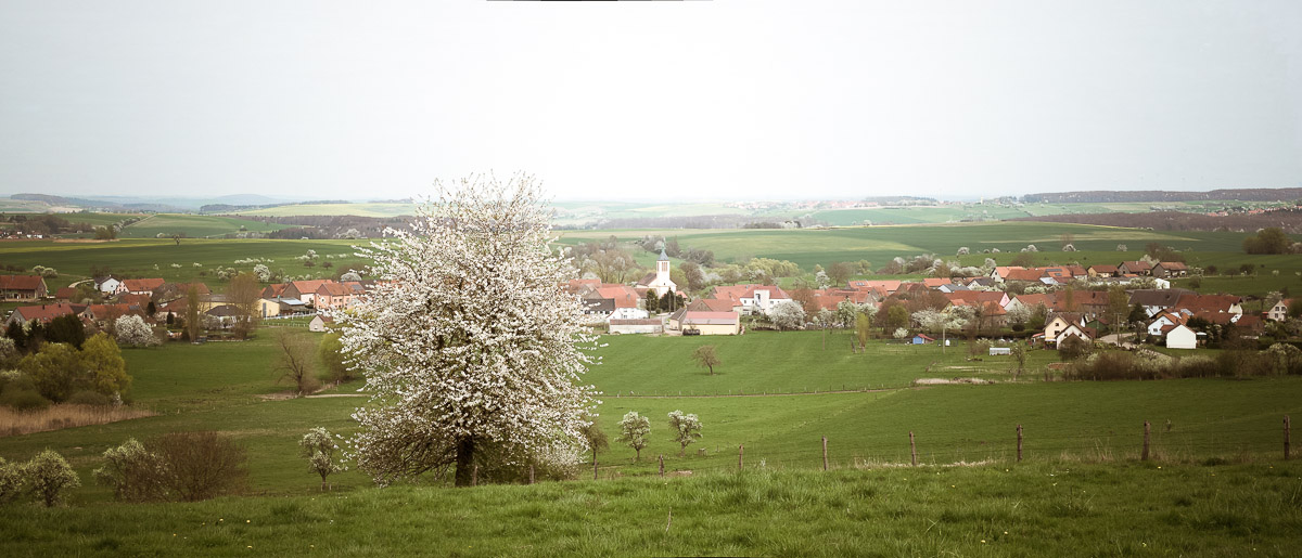 Défi photo n°2 Défi photo n°2